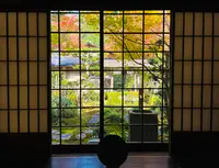 圓光寺の写真・動画_image_654288