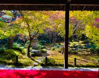 圓光寺の写真・動画_image_654298