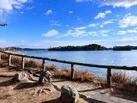 雄島の写真・動画_image_655578