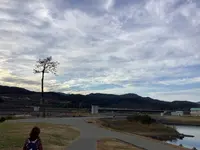 奇跡の一本松の写真・動画_image_655648