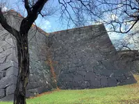 盛岡城跡公園 (岩手公園)の写真・動画_image_655945