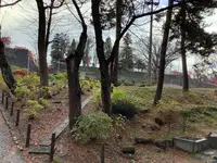盛岡城跡公園 (岩手公園)の写真・動画_image_655951