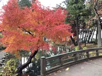 盛岡城跡公園 (岩手公園)の写真・動画_image_655959