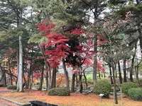 盛岡城跡公園 (岩手公園)の写真・動画_image_655960