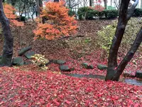 盛岡城跡公園 (岩手公園)の写真・動画_image_655961