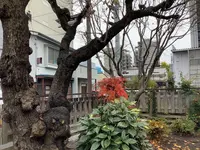 啄木新婚の家の写真・動画_image_655997