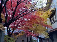 光原社の写真・動画_image_656000