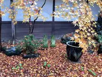 光原社の写真・動画_image_656004