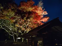 天山湯治郷の写真・動画_image_656883