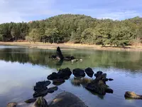 毛越寺庭園の写真・動画_image_656894
