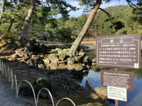 毛越寺庭園の写真・動画_image_656896