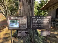 毛越寺庭園の写真・動画_image_656897