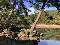 毛越寺庭園の写真・動画_image_656899