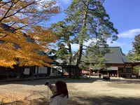 毛越寺庭園の写真・動画_image_656901