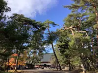 毛越寺庭園の写真・動画_image_656903