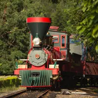 香港ディズニーランド鉄道の写真・動画_image_657119