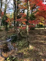 大雄山最乗寺の写真・動画_image_657357