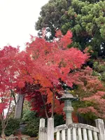 盛岡八幡宮の写真・動画_image_658973