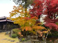南昌荘の写真・動画_image_658977