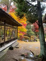 南昌荘の写真・動画_image_658978