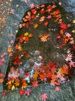 南昌荘の写真・動画_image_658979