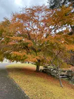 宮沢賢治童話村の写真・動画_image_658984