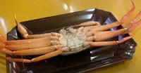 新湊かに小屋の写真・動画_image_659025
