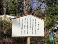 関ケ原ウォーランドの写真・動画_image_659136