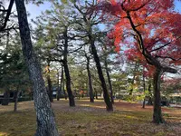 建仁寺の写真・動画_image_659193