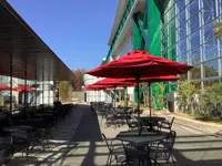Cafe大陸横断飛行の写真・動画_image_659308