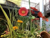 ジブリパーク ジブリの大倉庫の写真・動画_image_659324