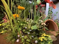 ジブリパーク ジブリの大倉庫の写真・動画_image_659329