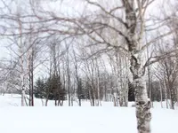 星野リゾート リゾナーレトマムの写真・動画_image_65945