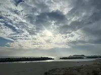 黒山（バス）の写真・動画_image_659960