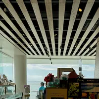 奄美きょら海工房の写真・動画_image_659981