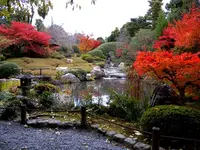 妙心寺駅の写真・動画_image_66006