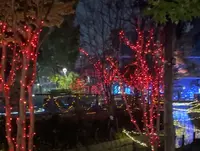 倉敷みらい公園の写真・動画_image_660149