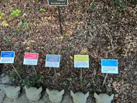 鷲子山上神社の写真・動画_image_660292