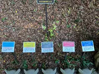 鷲子山上神社の写真・動画_image_660293