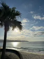 奄美市大浜海浜公園の写真・動画_image_660434