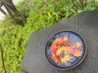 北野天満神社の写真・動画_image_660642