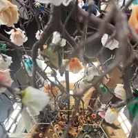 うろこの家・うろこ美術館の写真・動画_image_660652
