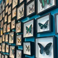 ベンの家の写真・動画_image_660670