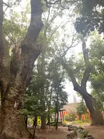 生田神社の写真・動画_image_660685