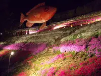 ヤマサ蒲鉾（株）の写真・動画_image_66081