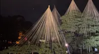 兼六園の写真・動画_image_661118