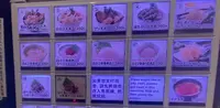 白えび亭の写真・動画_image_664065