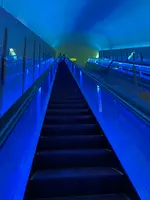 MOA美術館の写真・動画_image_664138
