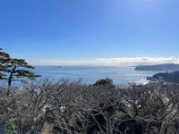 MOA美術館の写真・動画_image_664141