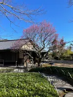 和食 花の茶屋の写真・動画_image_664146